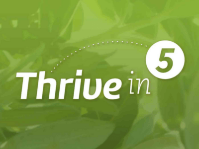 Thrive in 5 Landing & Subscription