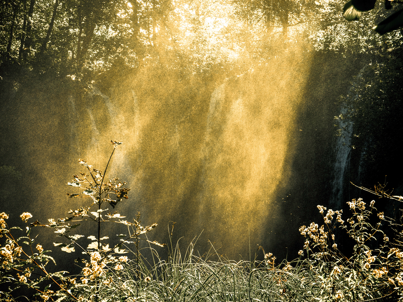 The awakening convergence